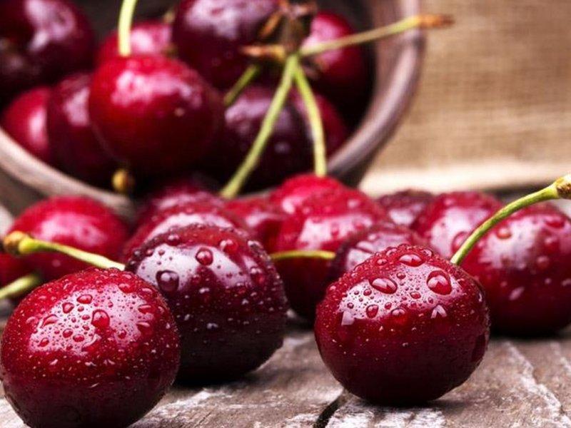 Вишня купить саженцы из питомника в Заринске